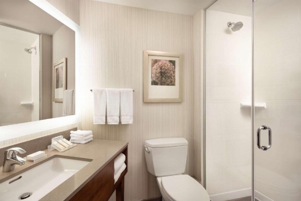Hilton Garden Inn Long Island City New York image 21