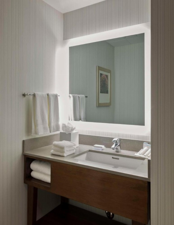 Hilton Garden Inn Long Island City New York image 29